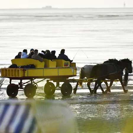 Haus Horizont Ii H505 Apartamento